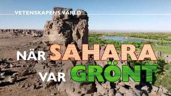 When Sahara was green