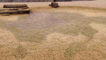 Dry Times at Pteradon Terrace