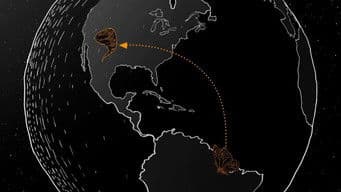 Chaos Theory or Order in Disorder
