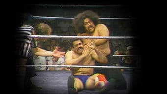 WWF Championship Wrestling - May. 17, 1980