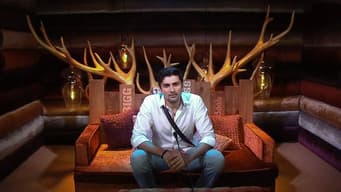 Day 87: Happy Birthday, Bigg Boss!