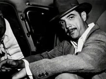 The Great Bridge: 8 Miles of Steel