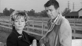 The Case of the Fickle Filly