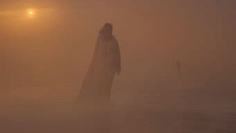 The Blood Runs in the Veins