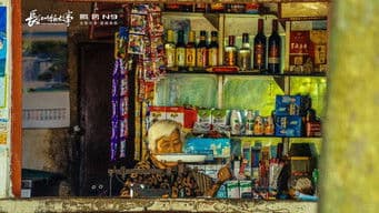 10万外地人，如何在深山建起超级钢城？