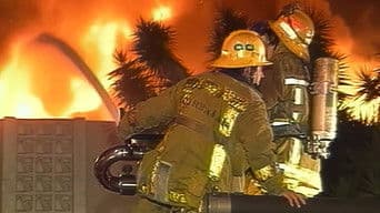 Top 10 World’s Most Amazing Videos