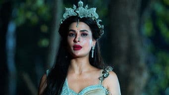 The Curse of the Wishful Serpent