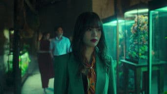 All the Flowers in the Garden