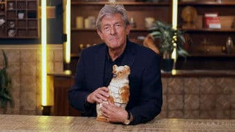 Pig, Birdcage, Antique Fire Screen