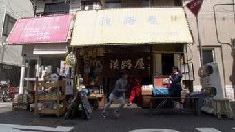 Candy Store: Children's Small Universe