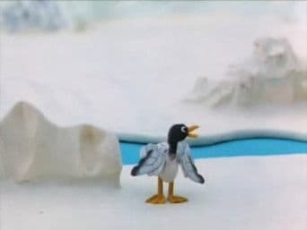 Pingu and the Seagull
