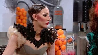 Scent of a Drag Queen