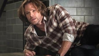 Let the Good Times Roll