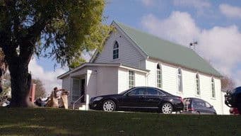 My young tōtara has been broken