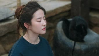 The Reason for Taking on This Arduos Path