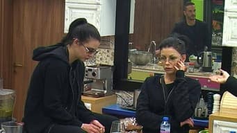 VIP Brother 2016 - Daily