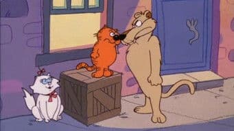 Lion Around the House