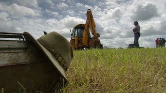 Back to Our Roots - Athelney, Somerset