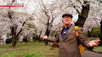 Oji - Charmed by Foxes and Cherry Blossoms