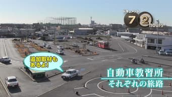 Driving school, each journey