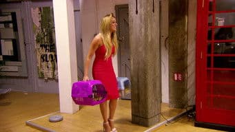 Hello Single Charlotte!