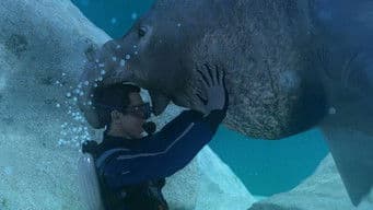 Disaster on the High Seas