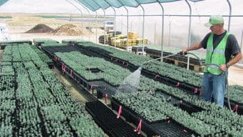 Oregon Prison Sagebrush Project, Oregon Star Party, Steam Up, and Scenic Oregon