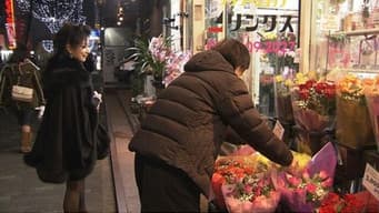 Close contact: The Sleepless Flower Shop in Kabukicho