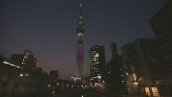 One Tower, Many Lives