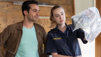 A replacement for Mohr