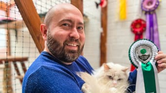 Dungannon, Belfast, Royal Hillsborough