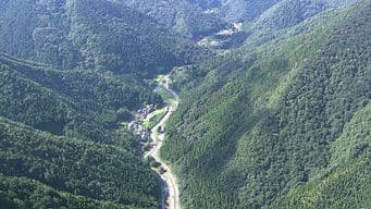 Travelogue of Mackerel Road