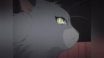 A Banshee's Memories