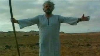 Alla ricerca del libro di Toth