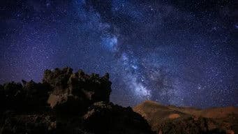 The Last Forest: Epilogue