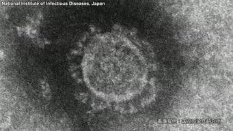 COVID-19: Fighting a Pandemic