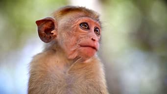 Kenya and California Update