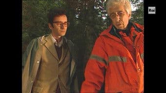 Virgin Mary's veil. Maria Luisa Decia