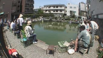 Tokyo, Asagaya: By the Goldfish Pond