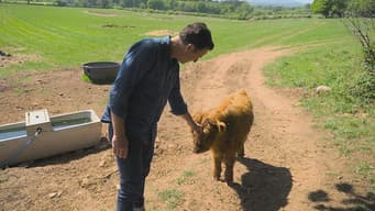 Shropshire’s Nature Comeback