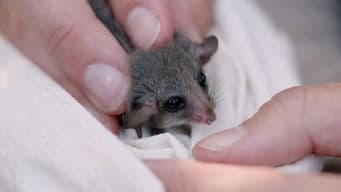 Episode 5 Seed Saving & Sustainable Straw Bale House