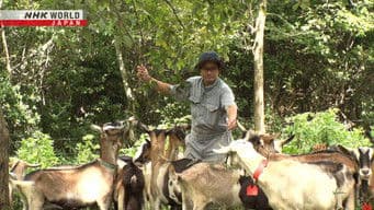 Cheesemaker and Dairy Farmer: Matsubara Masanori