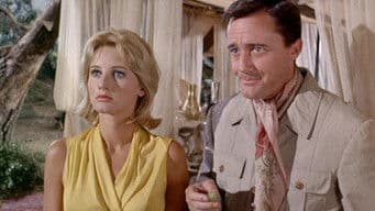 The Tigers are Coming Affair