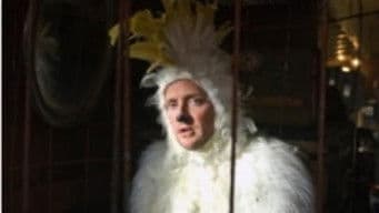 Dog of a Town (Part 1)