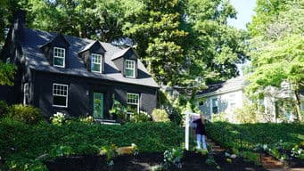 In the Heart of Greenville