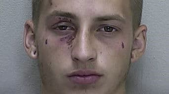 Everybody Was Agreeing to It