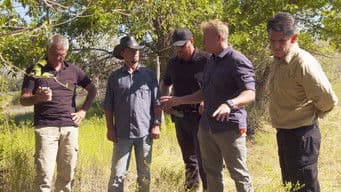 Bad Things Happen When You Dig