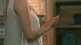 Master of a New World