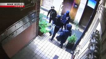 Youth Falling into a Life of Crime