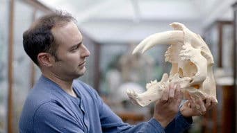 Secrets of the Sabre-Toothed Tiger